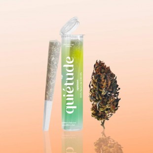 Pre roll Quiétude CBD 8% Blueberry Equilibre