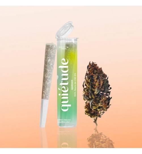 Pre roll Quiétude CBD 8% Blueberry Equilibre