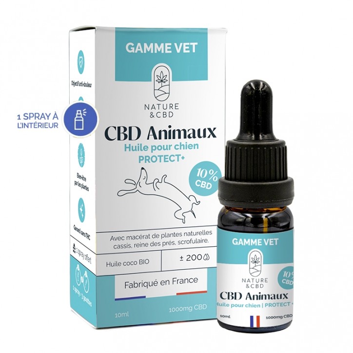 Huile CBD Animaux Protect+ pour chien 10% - Nature & CBD