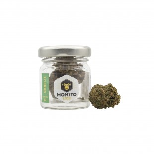 Fleur CBD Amnesia Monito