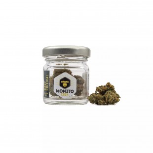 Fleur CBD Baby Critical Monito