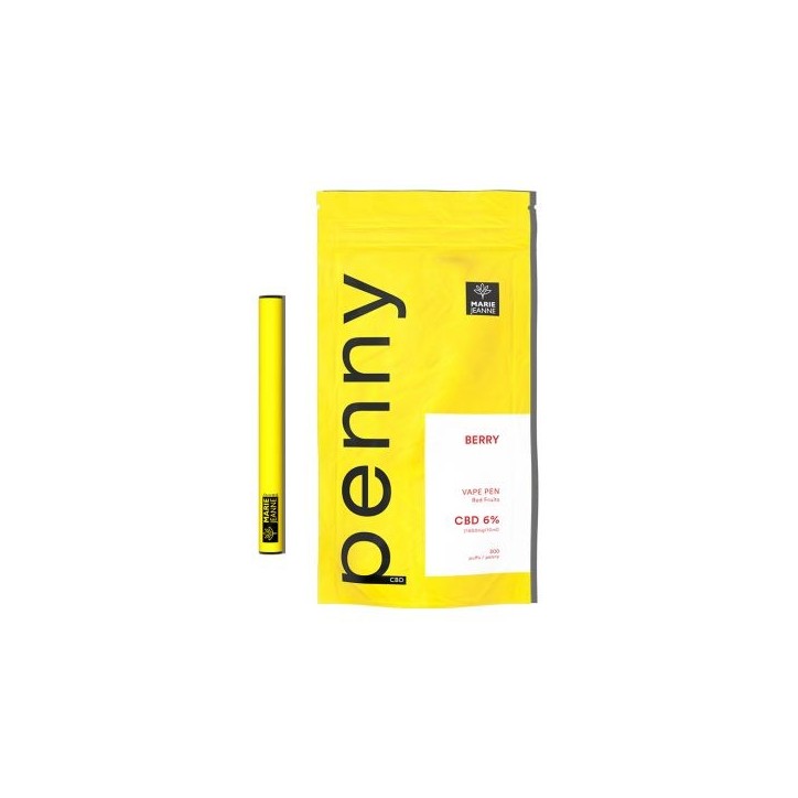 Penny Berry 300 Puffs - Marie Jeanne