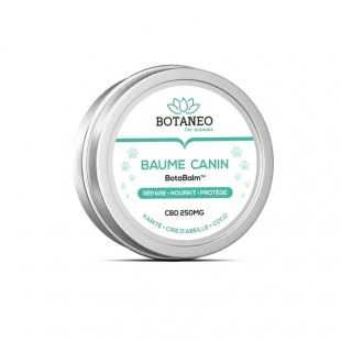 Baume CBD pour chiens 250mg Botaneo