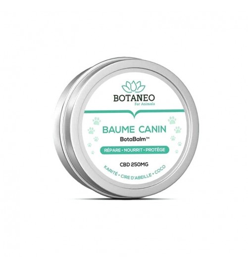 Baume CBD pour chiens 250mg Botaneo