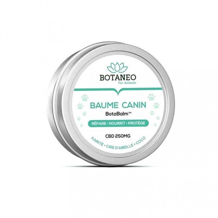 Baume CBD pour chiens 250mg - Botaneo