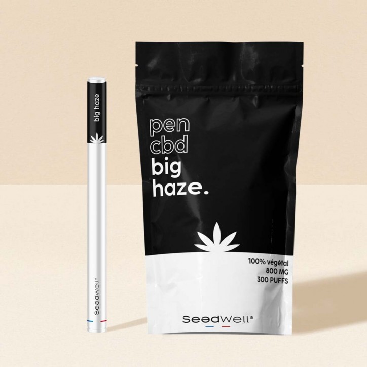 Pen CBD Big Haze 300 puffs - Seedwell