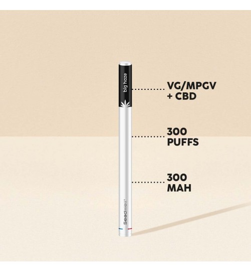 Pen CBD Big Haze 300 puffs - Seedwell