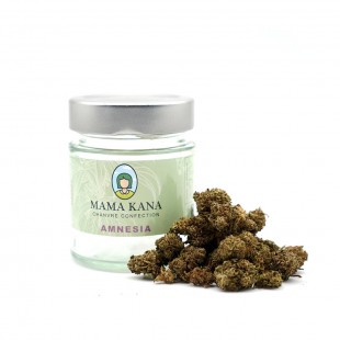 Fleur CBD Amnesia Greenhouse small bud Mama Kana