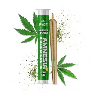 Pre-rolls XL CBD Amnesia Greeneo