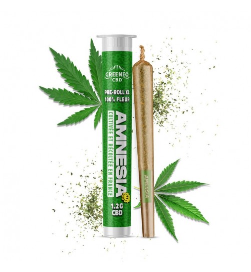 Pre-rolls XL CBD Amnesia Greeneo