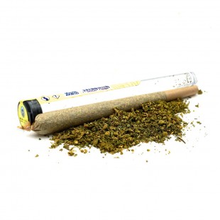 Pre roll CBD Critical 1g Mama Kana