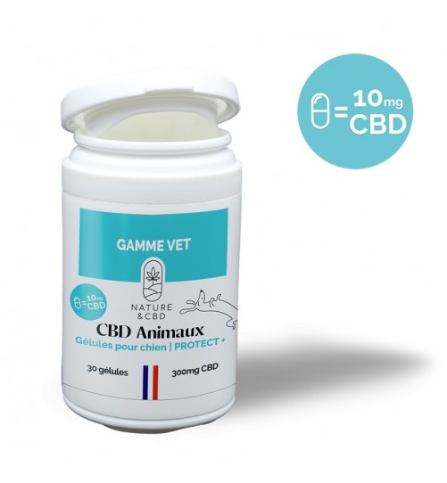 Gélules pour chiens Protect CBD Nature & CBD