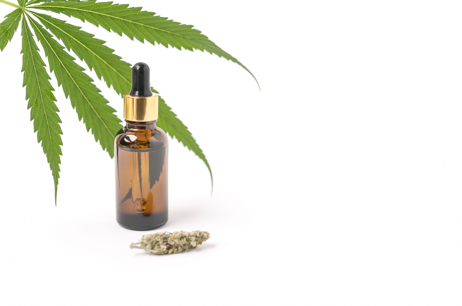 CBD et maladies auto-immunes : ce que dit la science