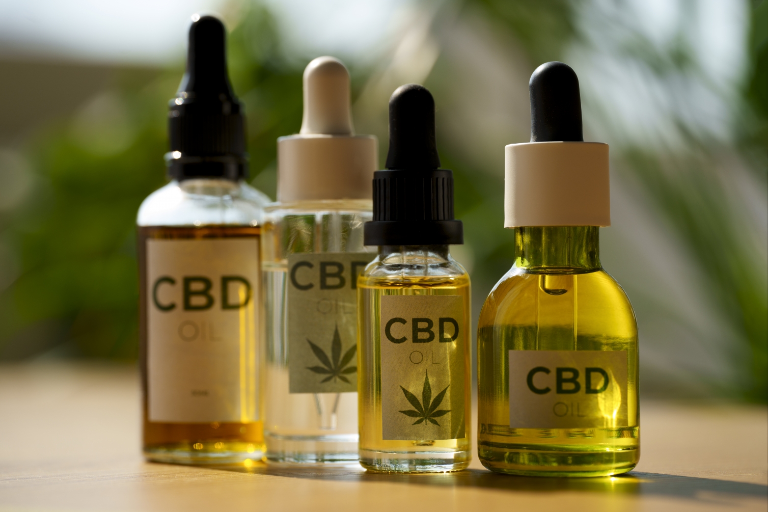 Qu’est-ce que le CBD ? Une introduction complète