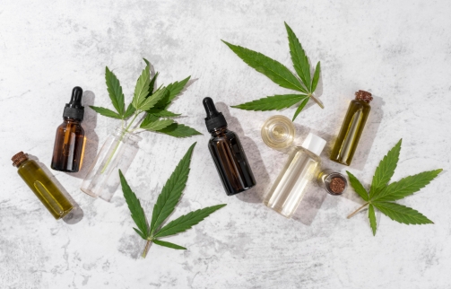 CBD : simple mode ou révolution durable ?