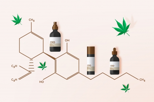 Les opportunités d’investissement dans l’industrie du CBD