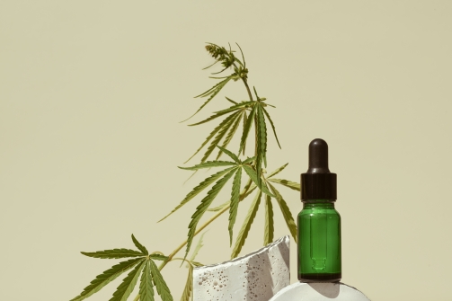 Comment vérifier la légalité d’un produit CBD ?